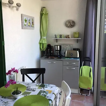 Confortable Amelie-les-bains 32 M² Vue Montagne Apartman